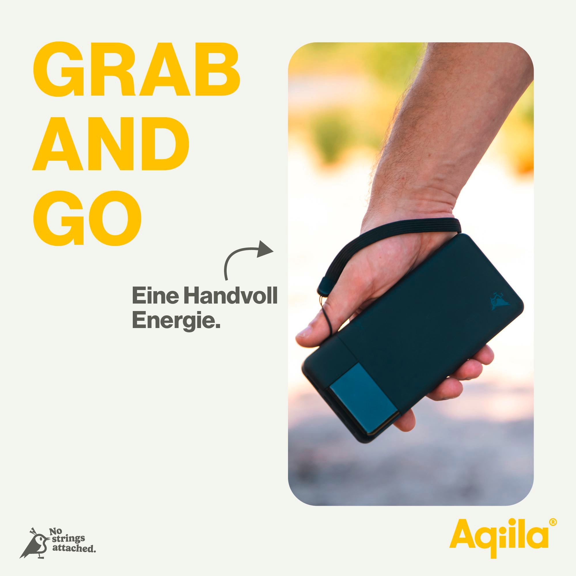 Aqiila Powerbird Powerbank 65 W 20000 mAh schwarz