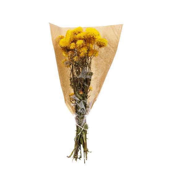 Bouquet fleurs séchées Helichrysum Jaune