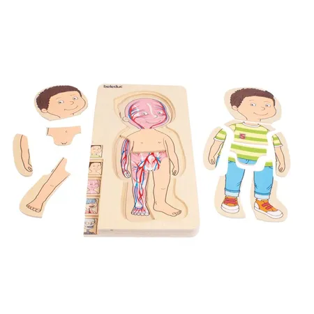 Beleduc Lagen-Puzzle 