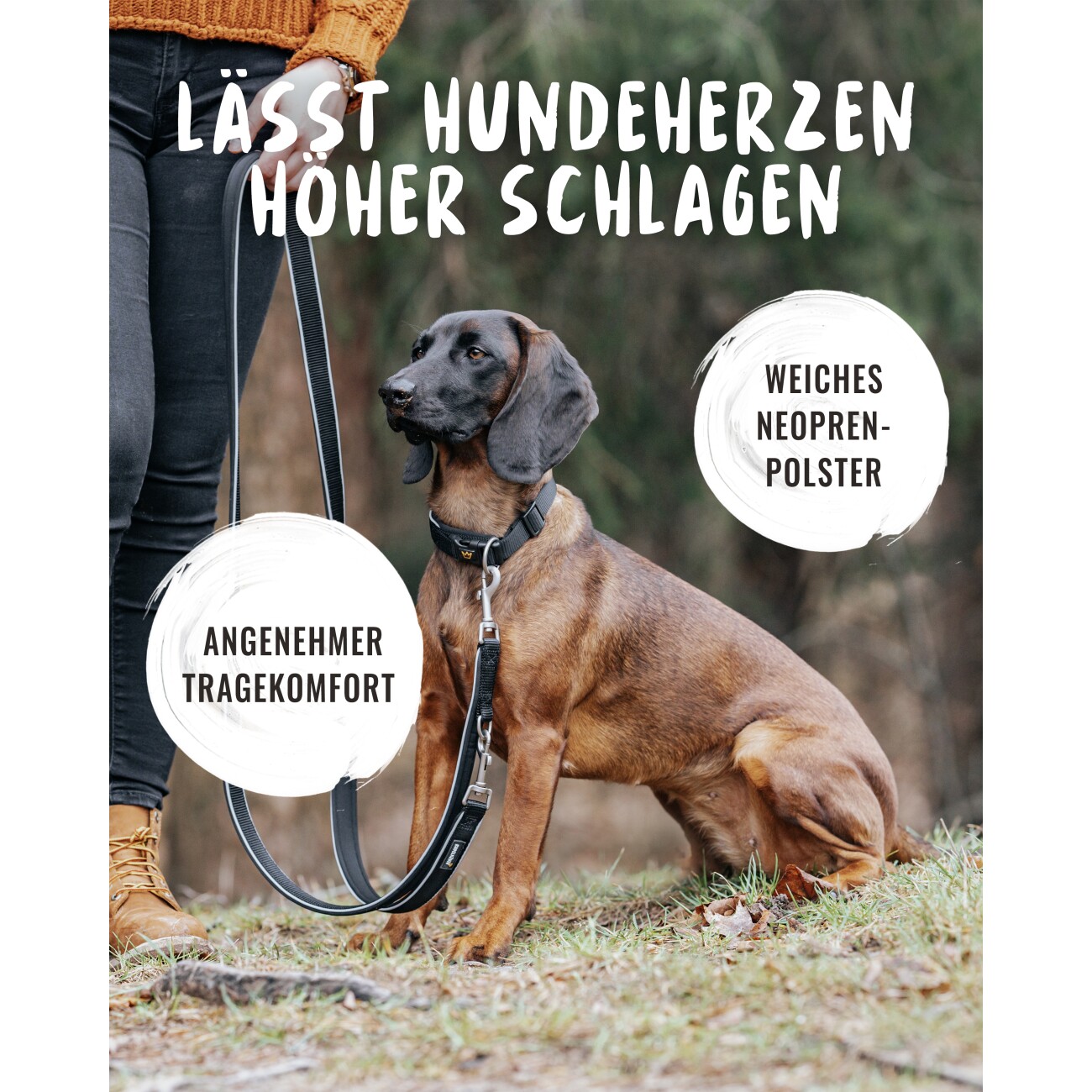 Rudelkönig Hundehalsband - Gepolstertes Halsband Paola schwarz 25 cm, 30 cm