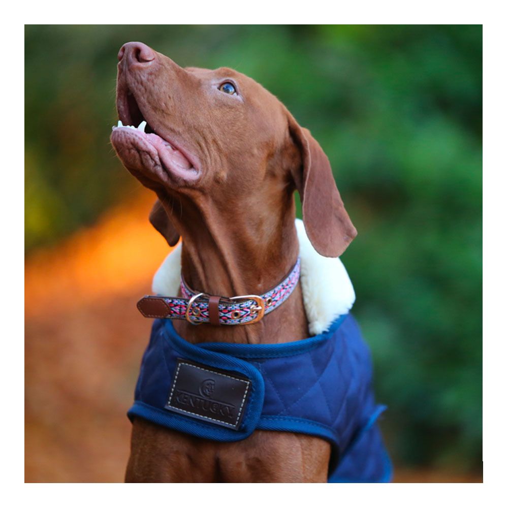 Kentucky ORIGINAL 160G - Couverture pour chien navy