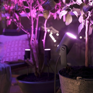 Philips Hue outdoor Lily startset prikspot 1x8W zwart