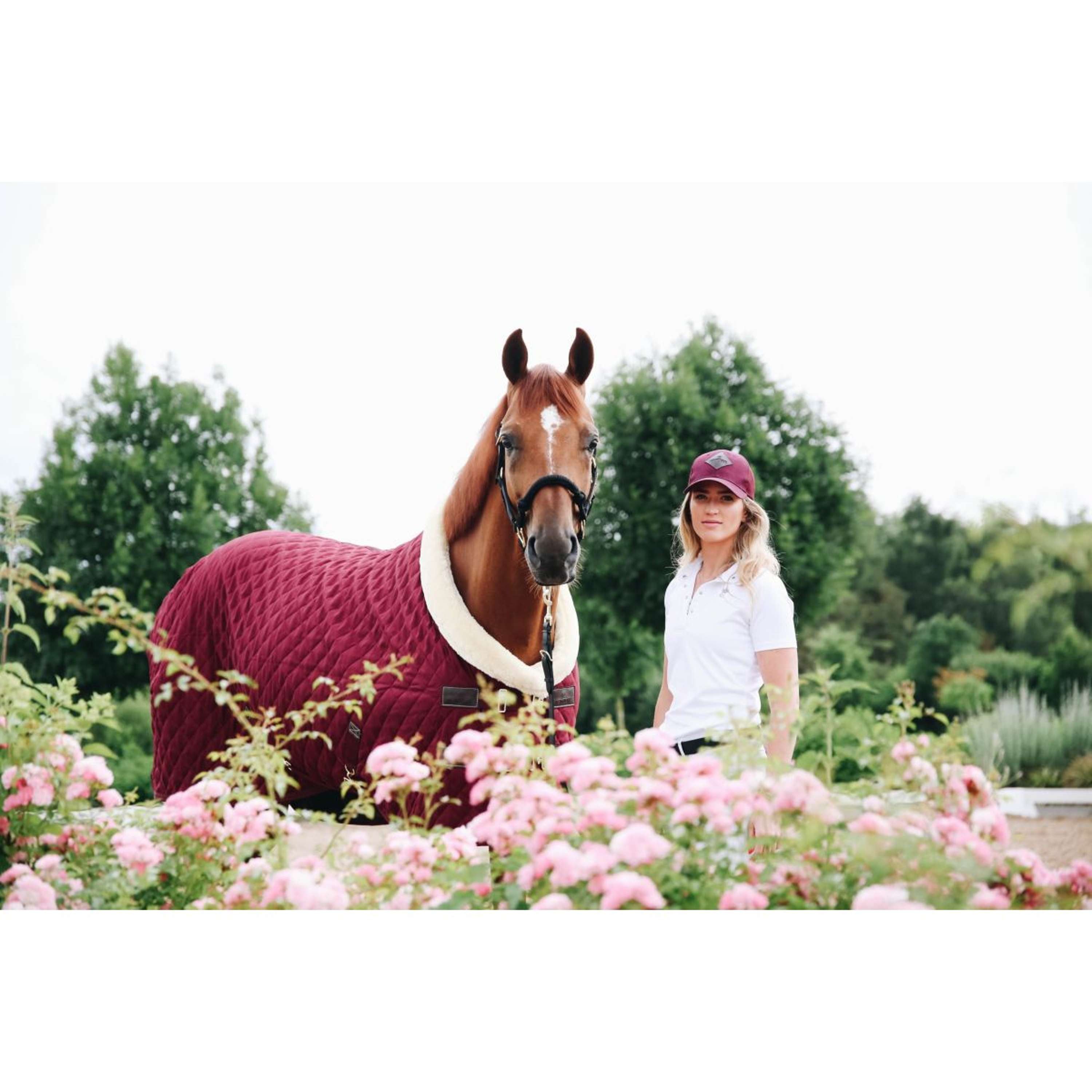 Kentucky Showdeken 160g Bordeaux
