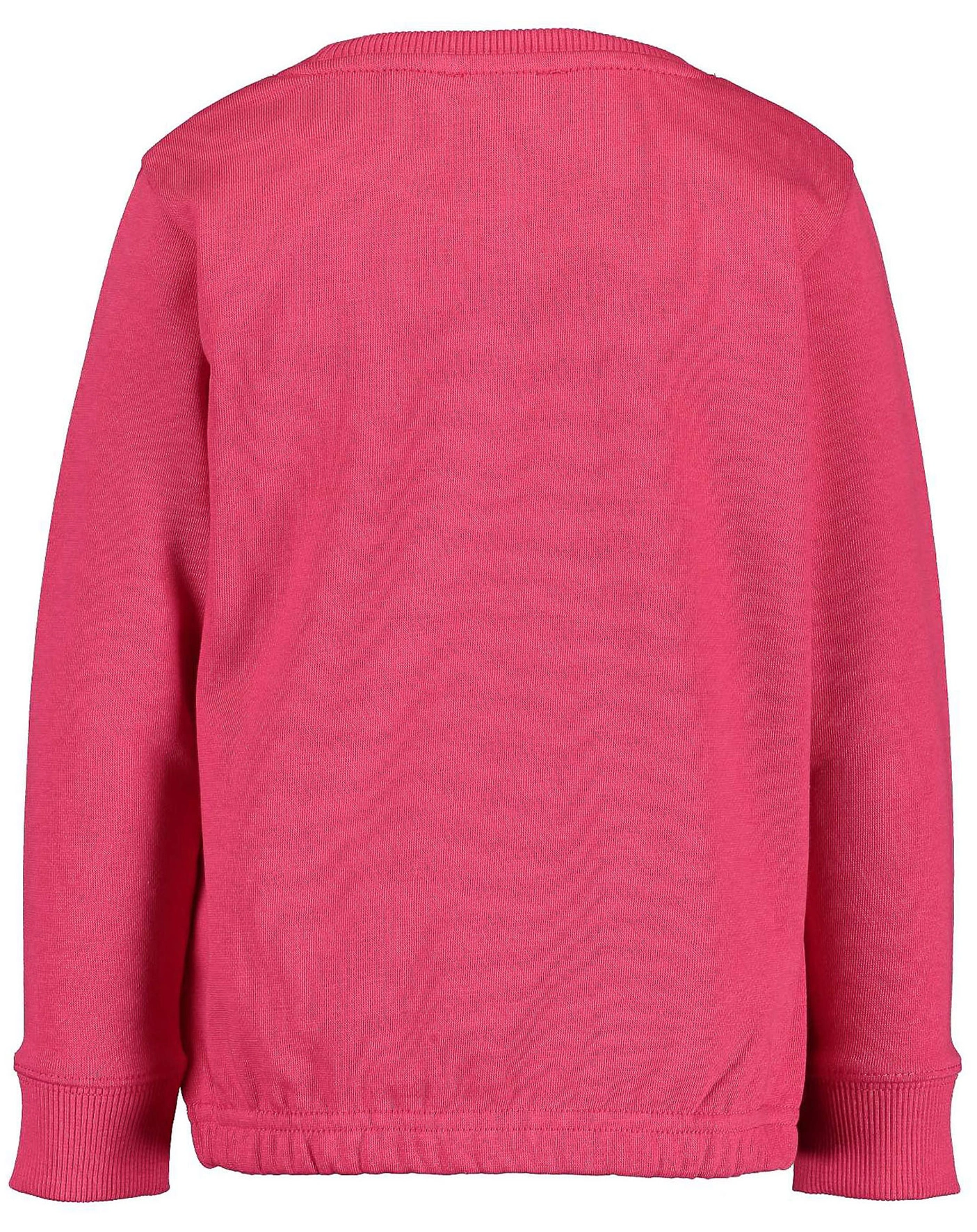 Sweatshirt PAPILIO in pink