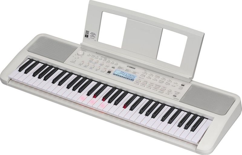 EZ-310 - Draagbaar Keyboard - Zwart - 61 Toetsen - 650 Geluiden