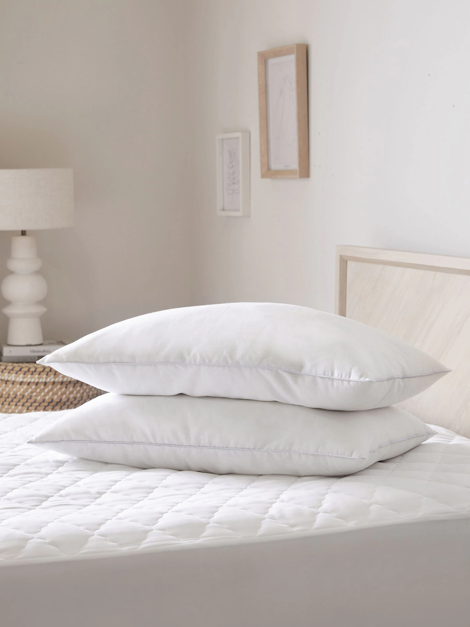 Set van 2 Sleep In Silk kussens van 100% katoen