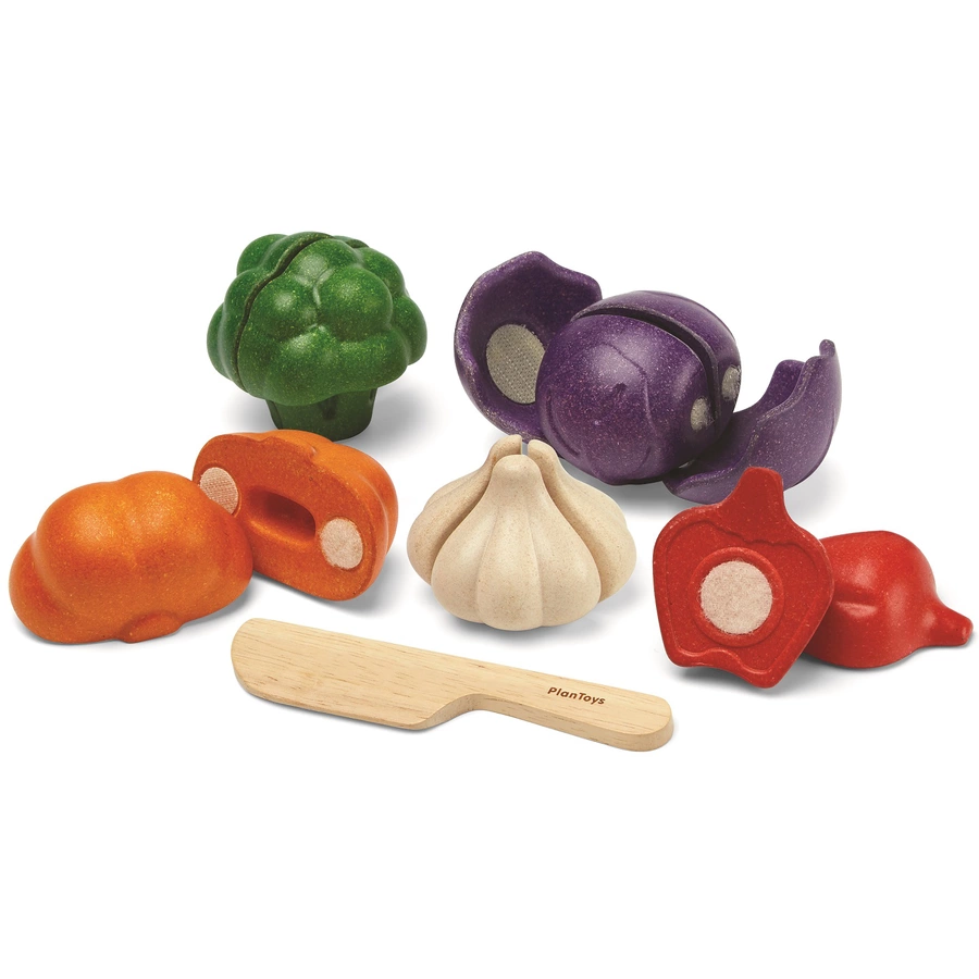 PlanToys Gemüse 5-farbiges Set