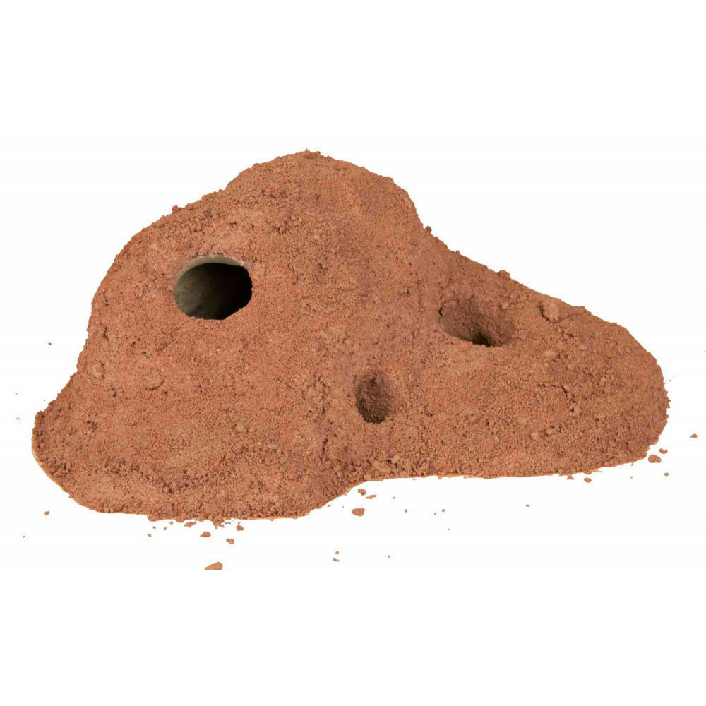 Substrat d'argile pour terrarium sable de grotte 5 kg