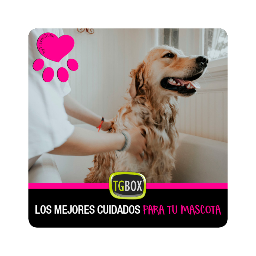 O melhor cuidado para o seu animal de estimação.