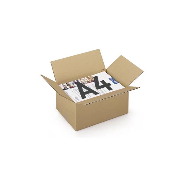 Caixa Cartão Simples 312x225x152mm (0,0106m3)- 25un