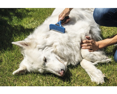 Kam FURminator hond deShedding L lang haar