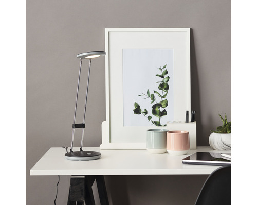 LED-kantoorlamp 3,3W 220 lm 3000 KH 23,6 cm Venetië titanium/zwart