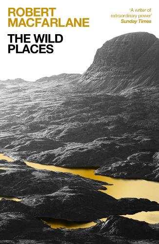The Wild Places (Paperback)