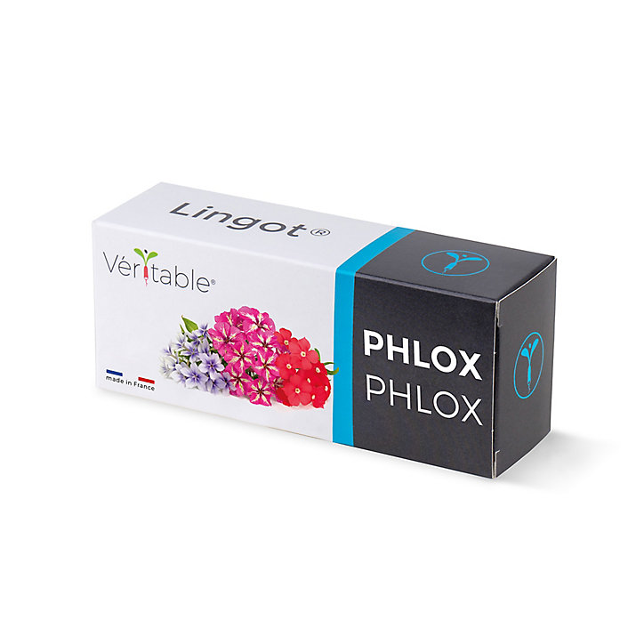 Lingot® Phlox comestible pour potager Véritable®