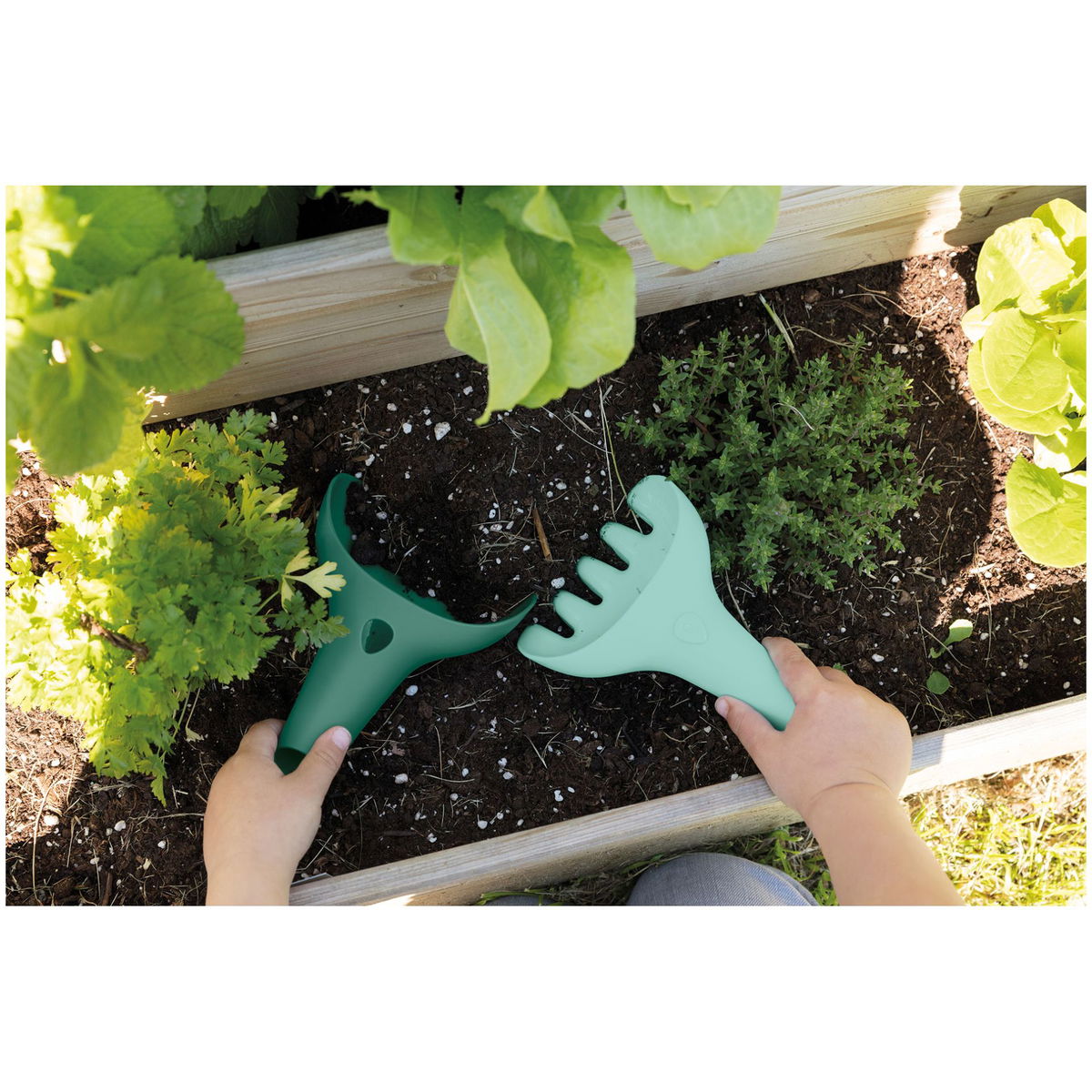 QuutQuut   Raki garden green