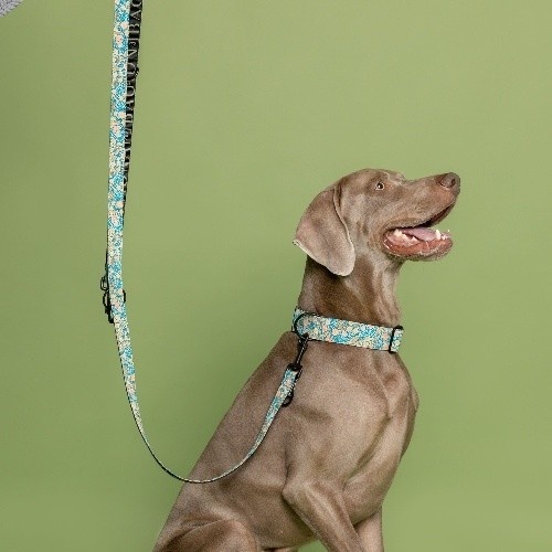 Guia para cães Baona Kamilo em nylon reciclado com múltiplas posições