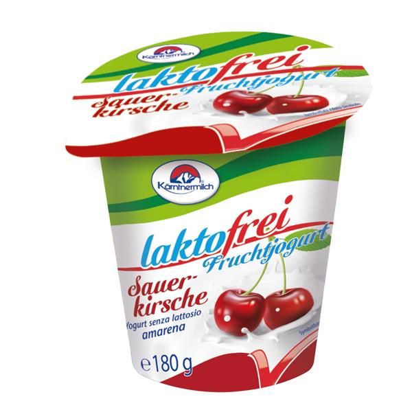 Iogurte Batido Sem Lactose Com Ginja