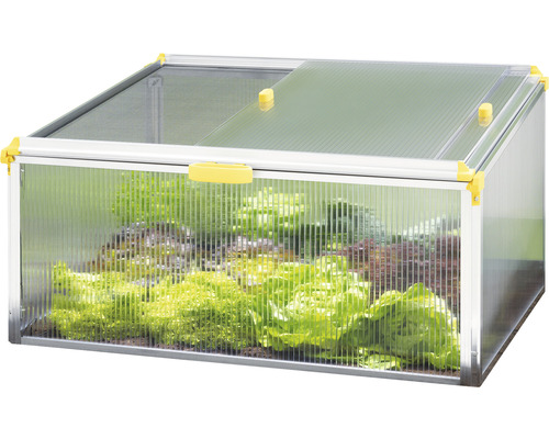 JUWEL Biostar Protect 1000 kweekkas inclusief ongedierte- en weersbescherming, 100 x 75 cm