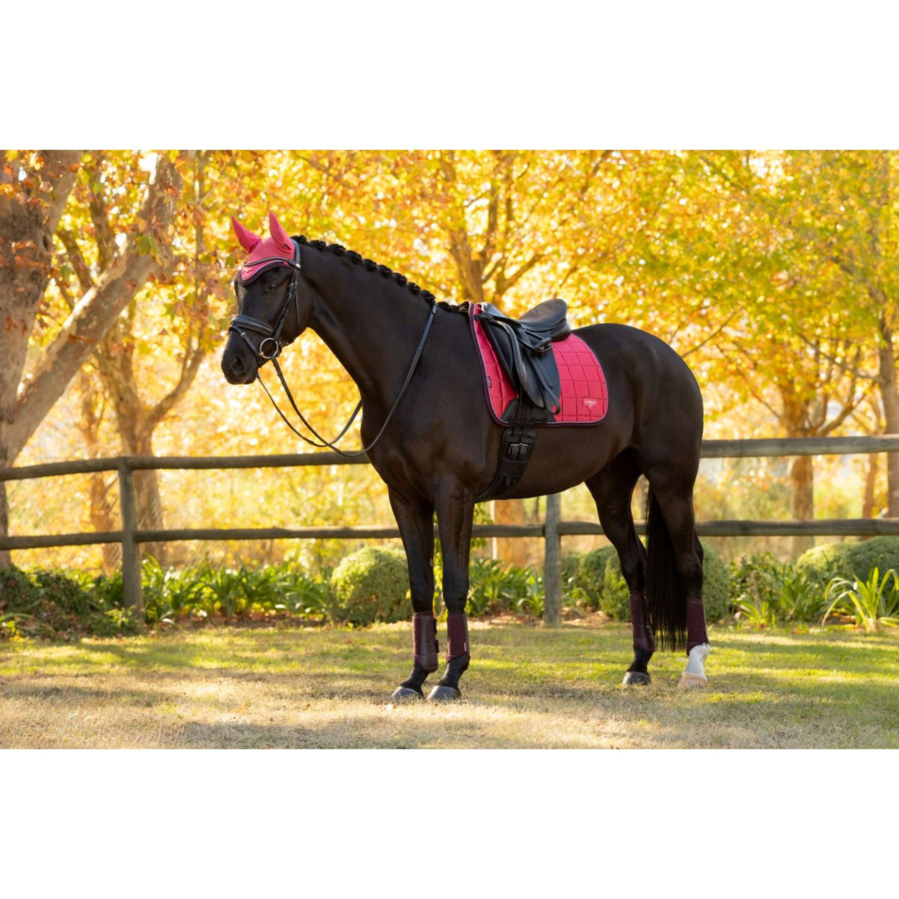LeMieux Zadeldekje Loire Classic Dressuur Cranberry
