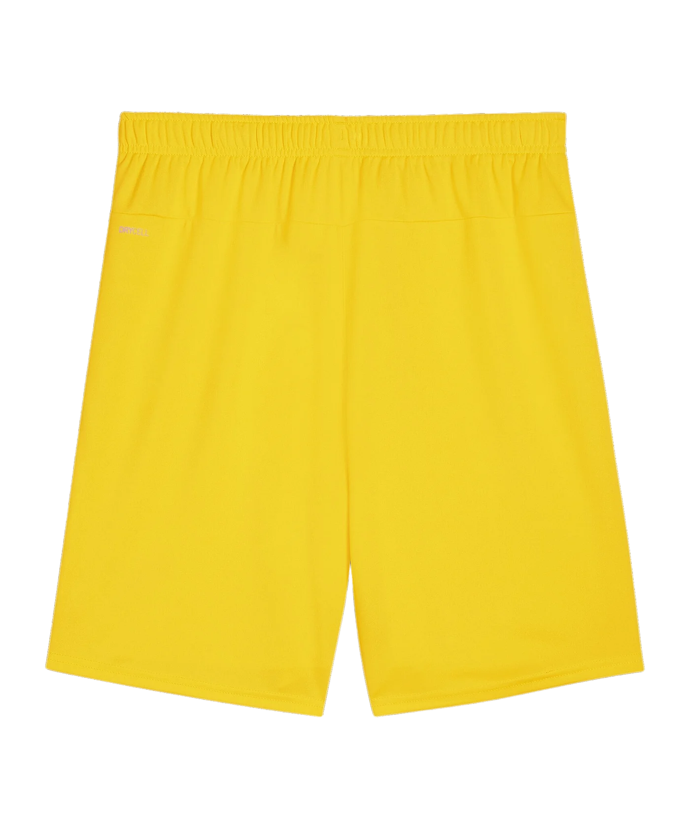 PUMA teamGOAL Short Gelb Schwarz F07