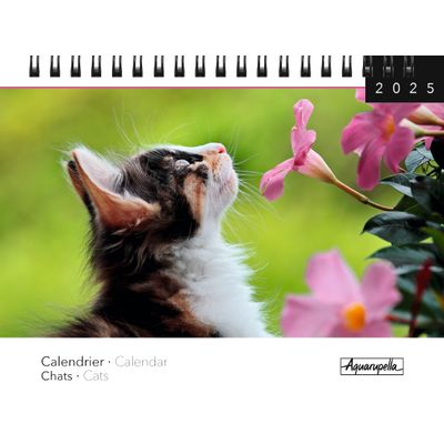 Calendrier mensuel à spirales 16x18 cm - Chats