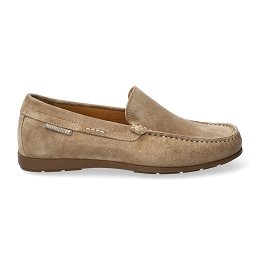 algoras  Vel. 9837  TAUPE