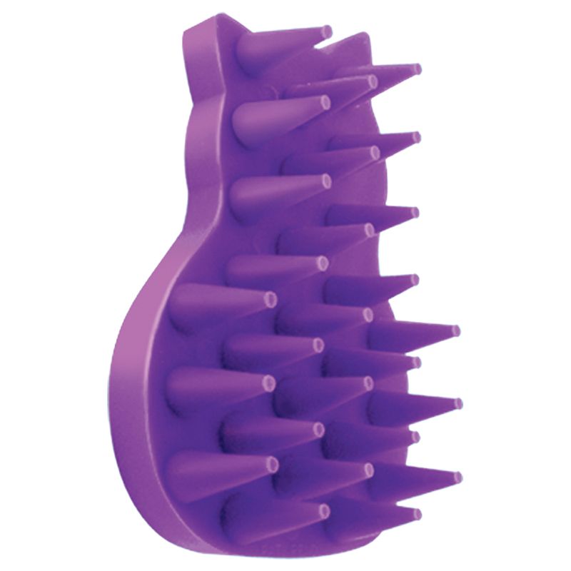 Brosse de massage Kong Zoom Groom à prix discount sur bitiba.fr