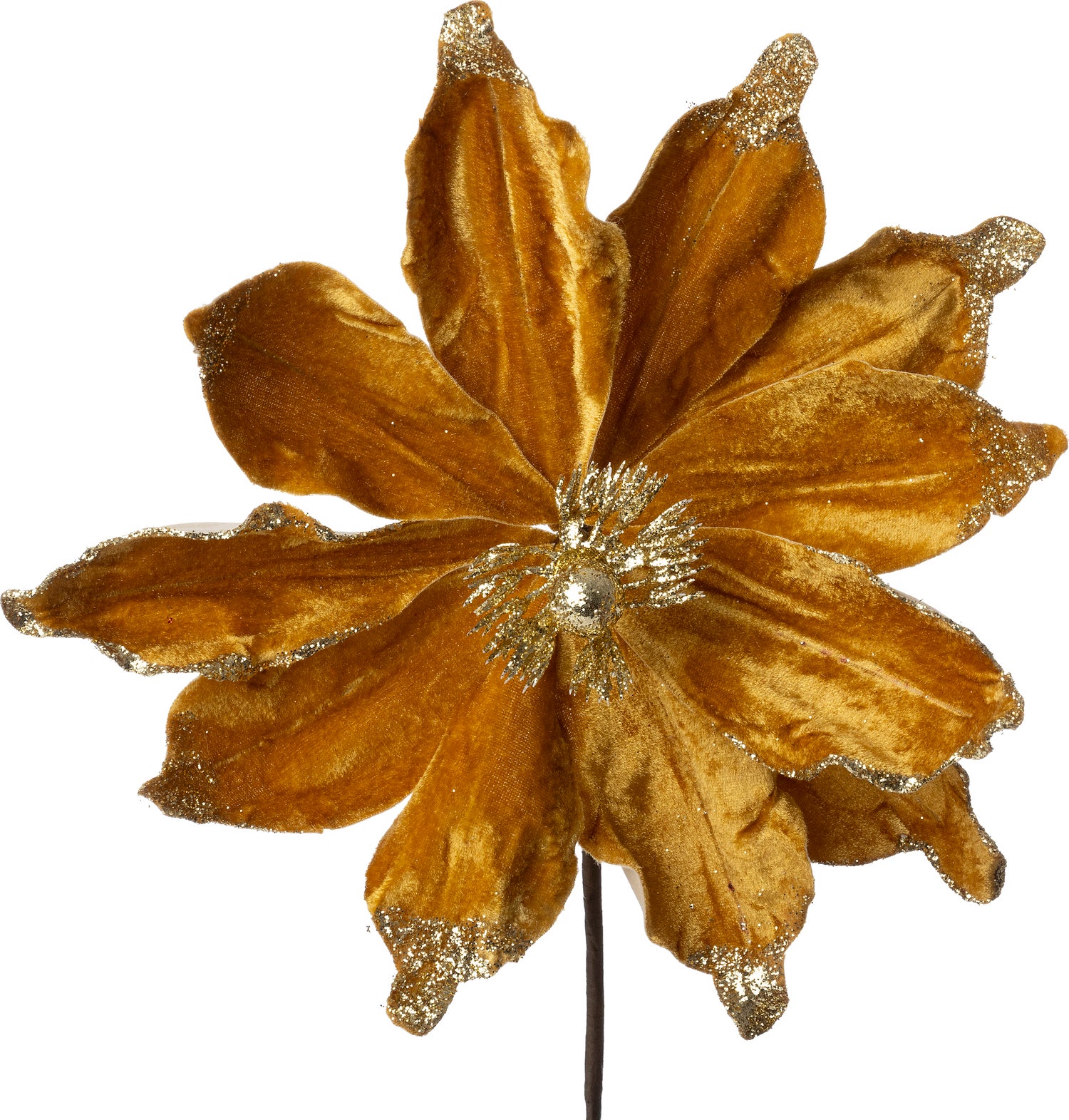 Intratuin kerstbloem Spirit goud D 20 cm