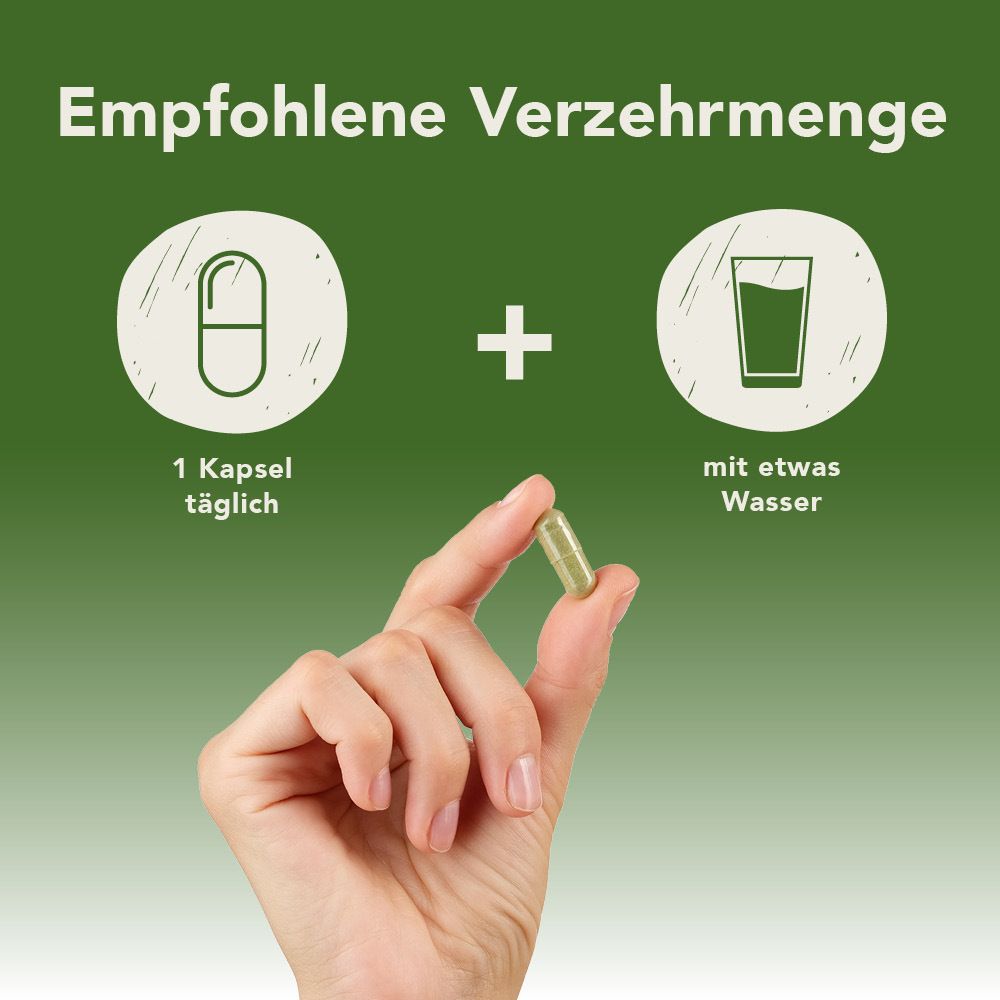 Fermentura® Spermidin