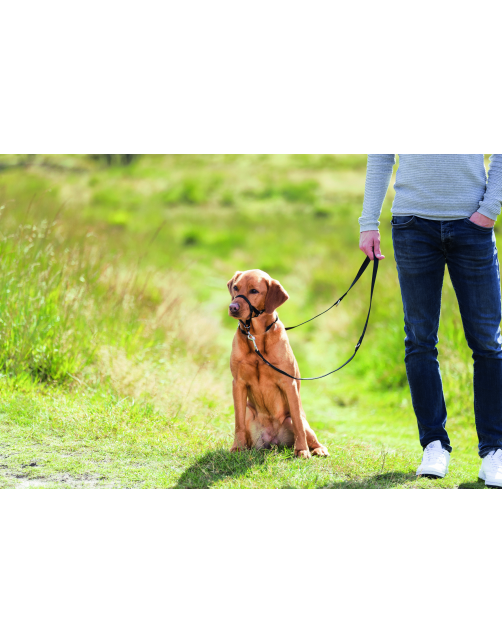 Trixie Top Trainer Opleidingstuig Zwart - Hondenopvoeding