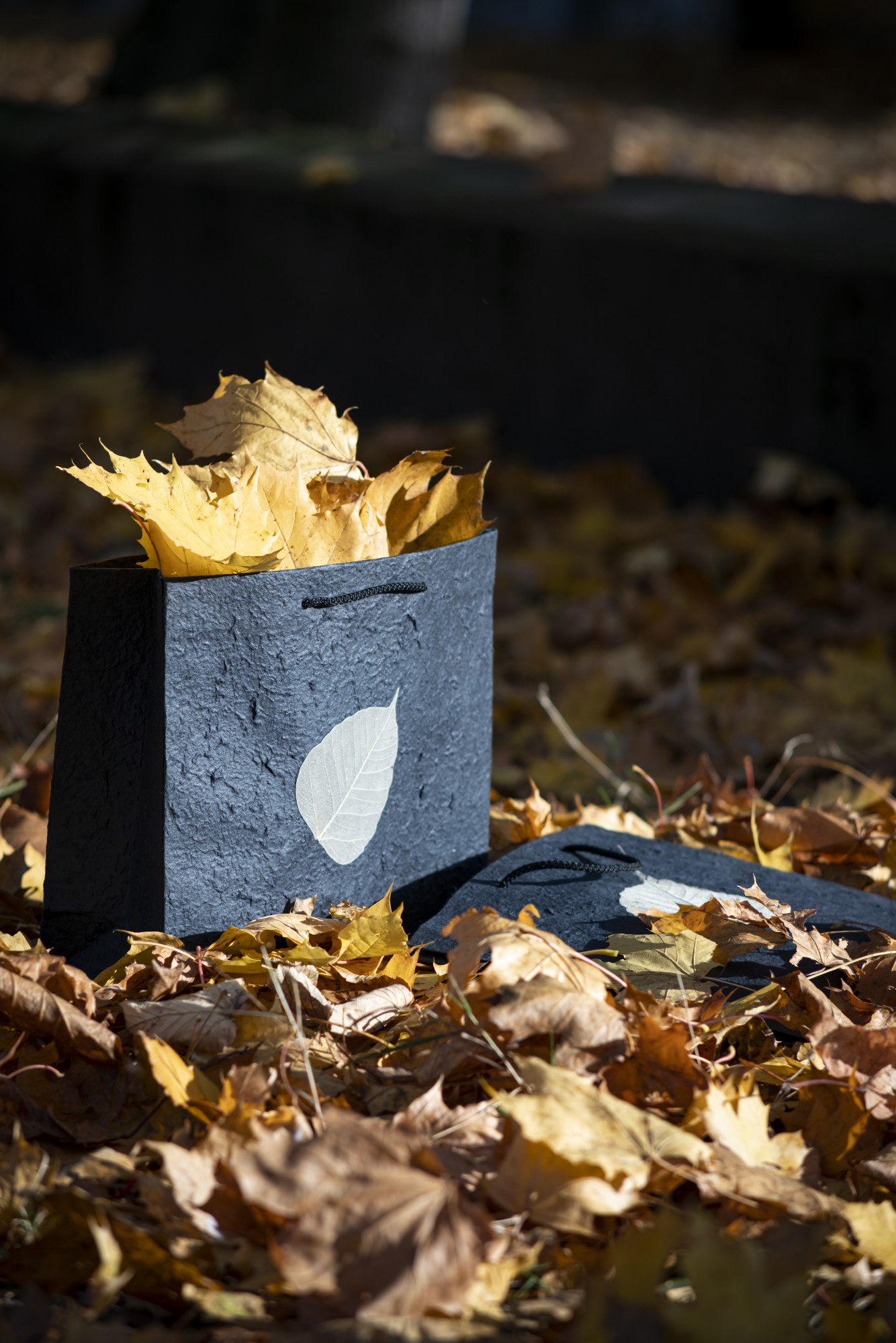 Tasche 'Bodhi-Blatt', schwarz, B 30 cm, H 25 cm, T 10 cm günstig bestellen