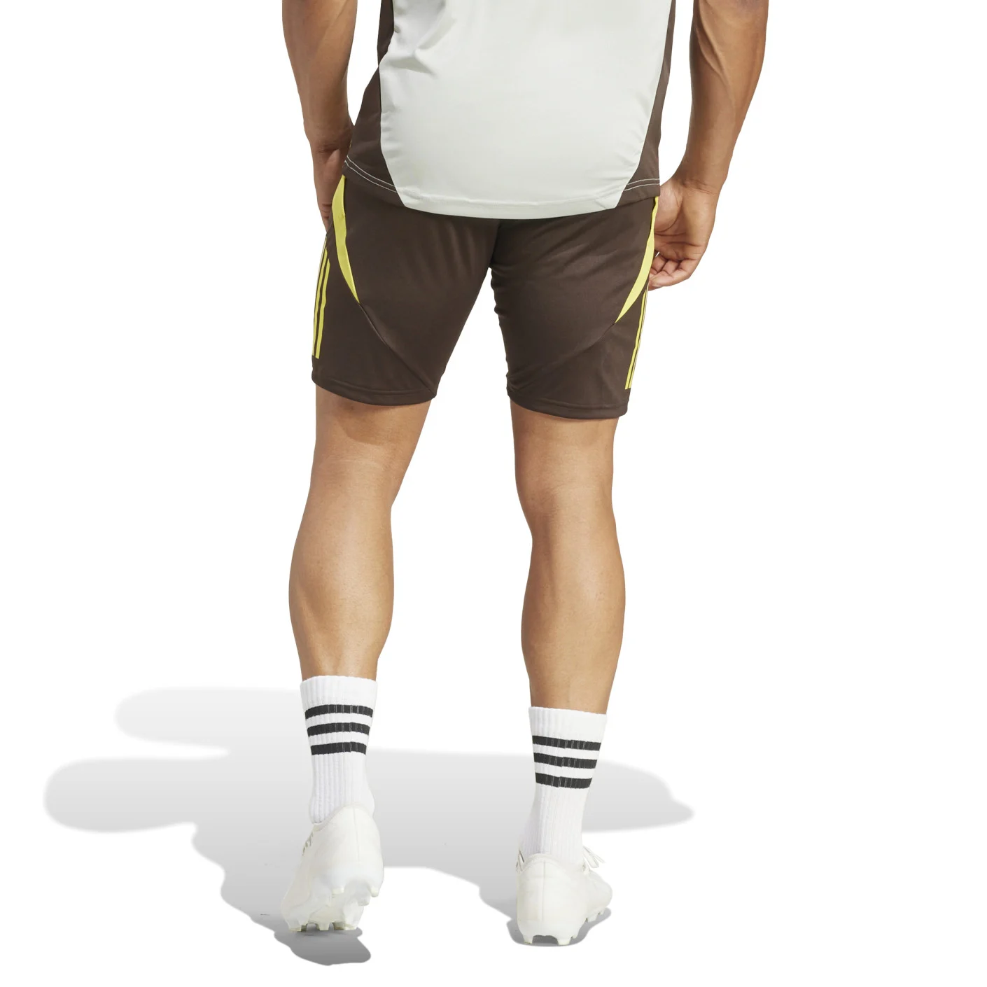 adidas Juventus Trainingsset Europees 2024-2025 Grijs Bruin Geel