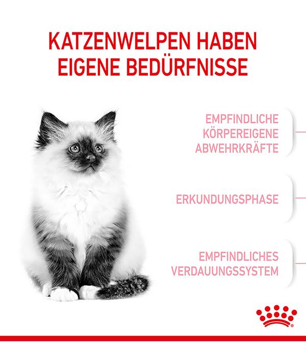 ROYAL CANIN® Trockenfutter für Katzen Kitten