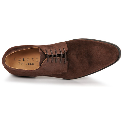 Pellet - ALIBI - VELOURS MARRON
