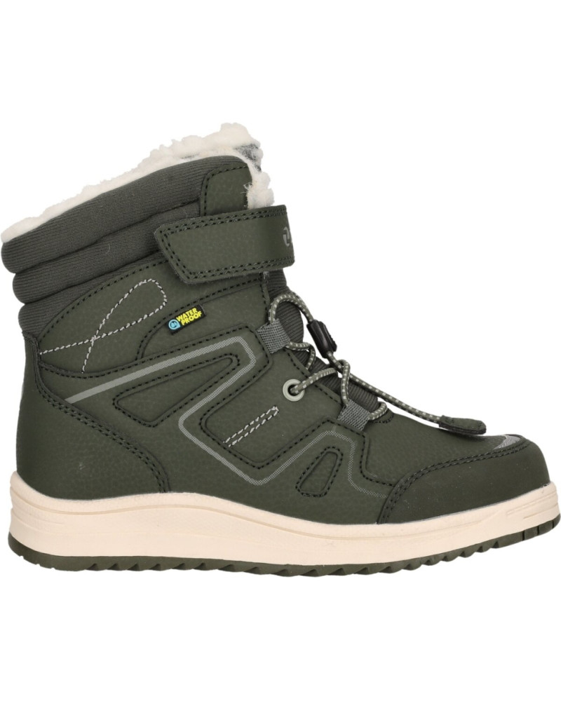 Zigzag Rincet Beetle