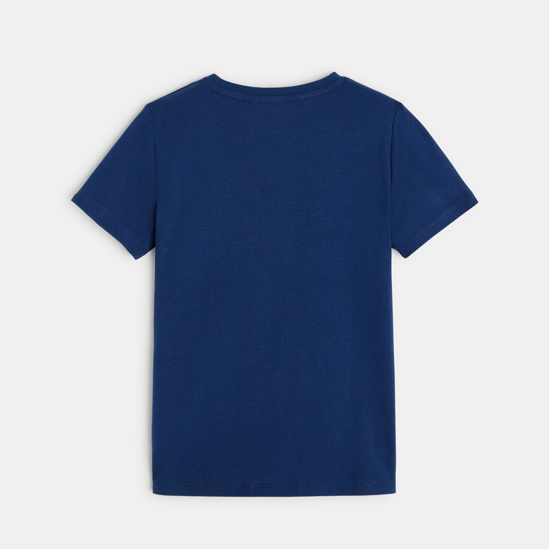 T-shirt motif dinosaures bleu garçon