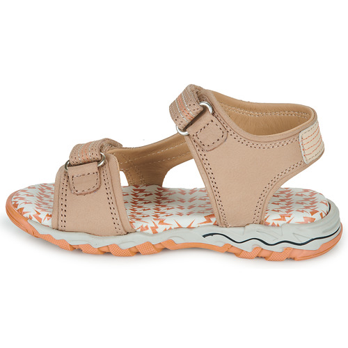 Citrouille et Compagnie - WAYO - Beige