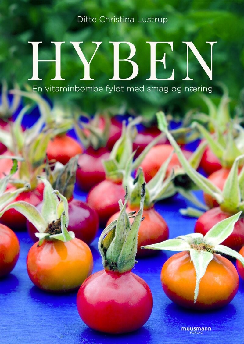 Hyben - Ditte Christina Lustrup - Bog