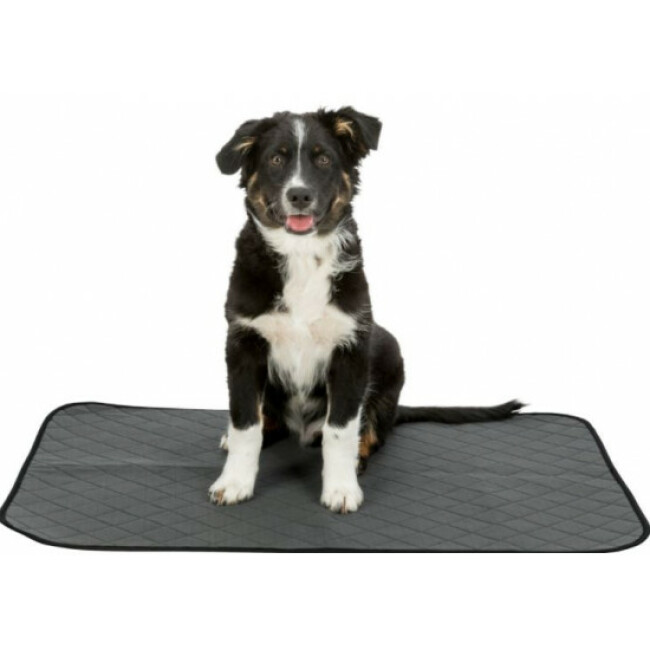 Tapis hygiénique Nappy Wash pour chiot