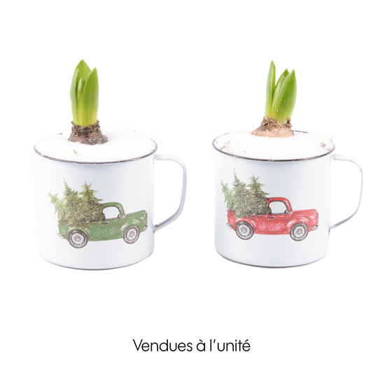 Jacinthe X1 mug en zinc D10