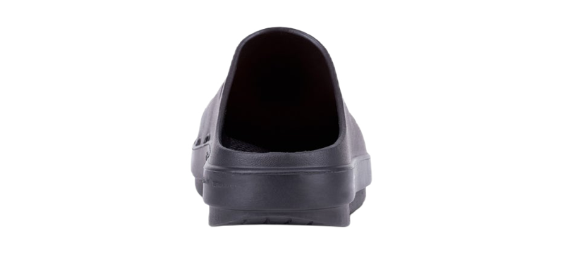Ooclog