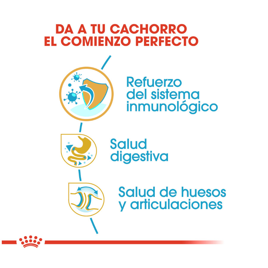 Ração Royal Canin para filhotes de Bulldog