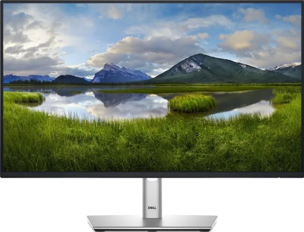 Dell P2425H - LED-skærm - 24