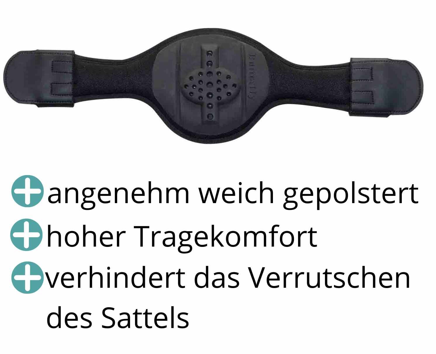 Butterfly Kurzgurt Dressurgurt Rainer