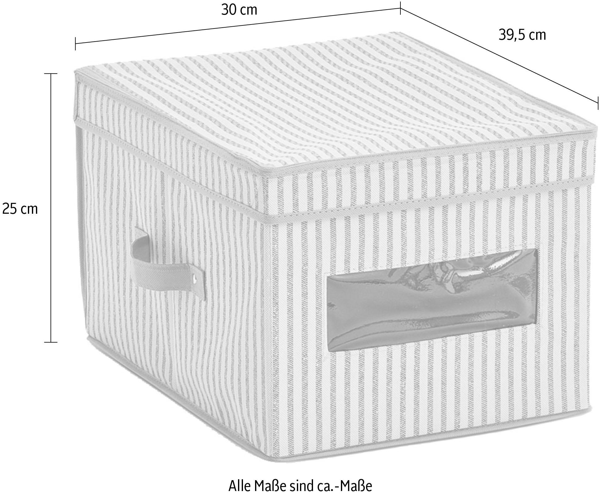 Zeller Present Aufbewahrungsbox »Stripes« Vlies, beige