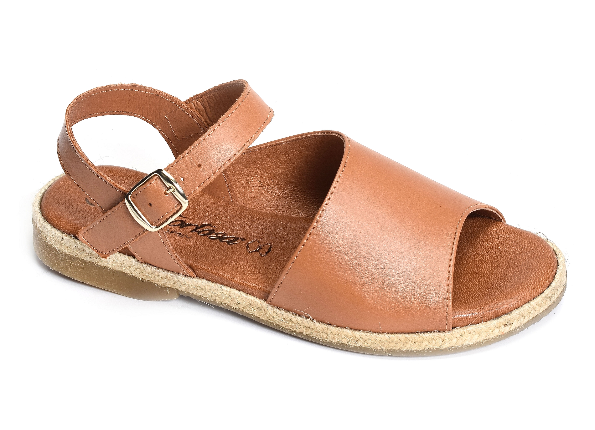 33398 camel