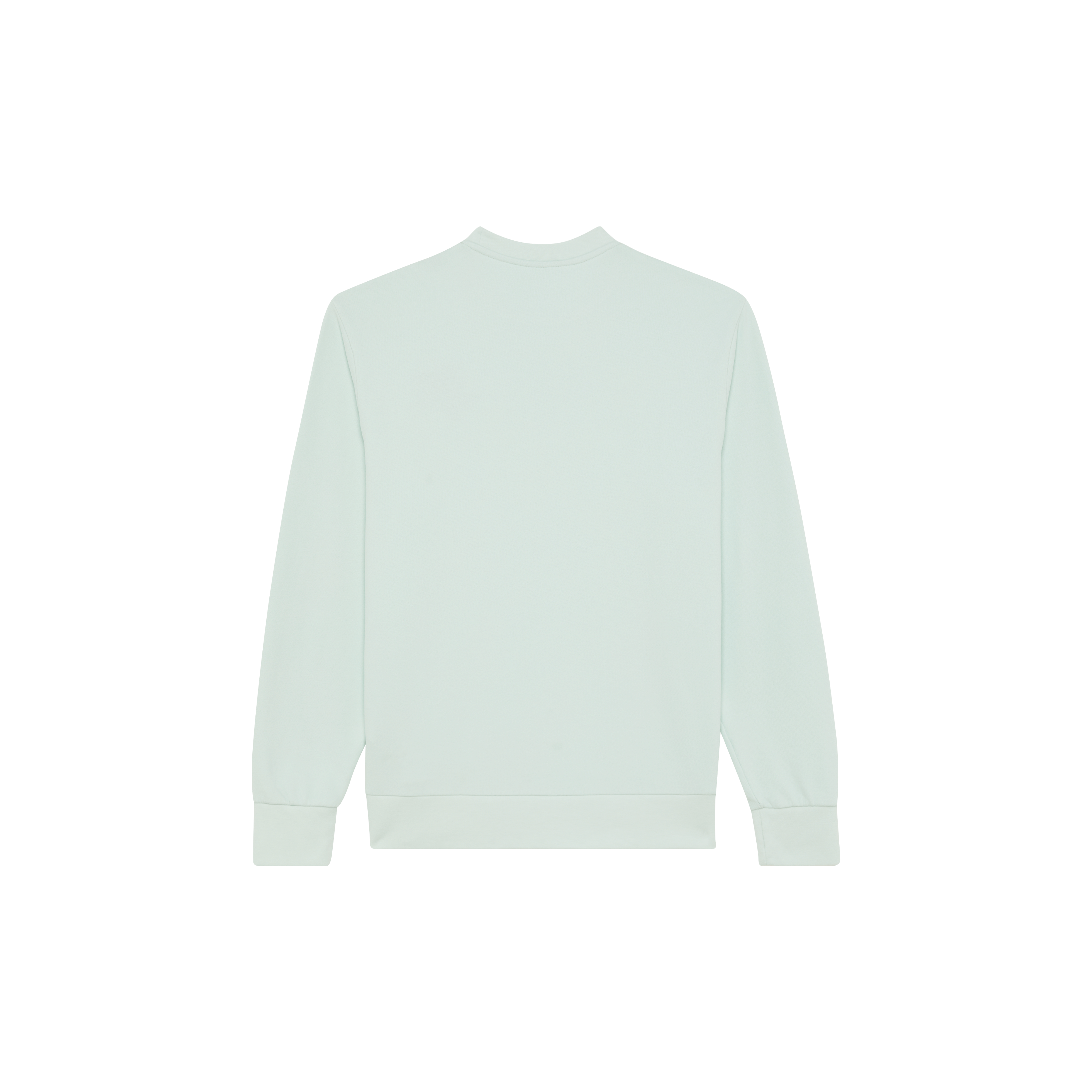 Sweat en coton organique col rond homme Tortue brodé