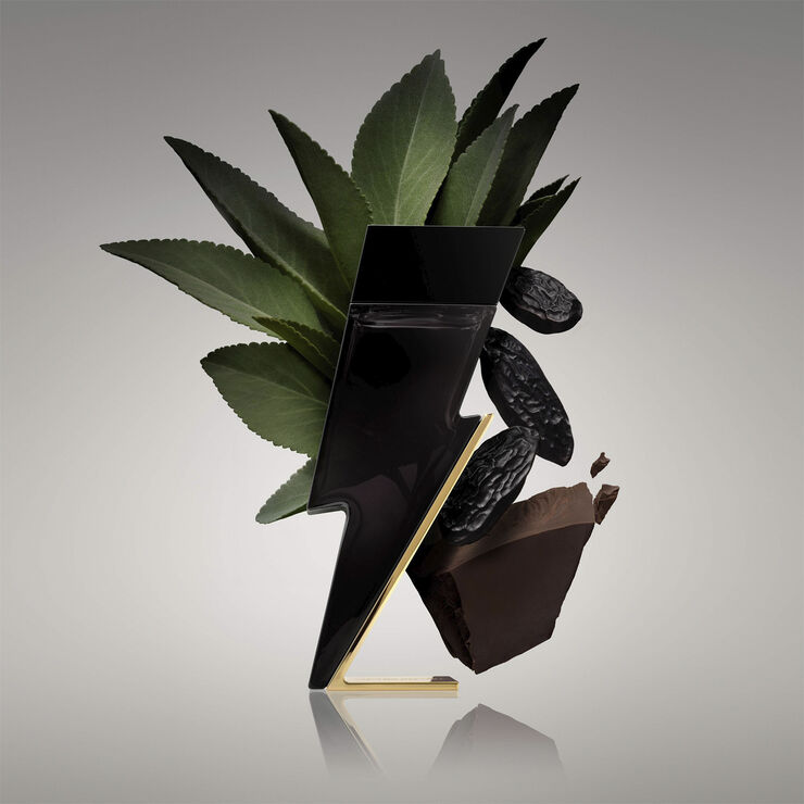 Carolina Herrera Carolien Herrera Bad Boy Eau de toilette
