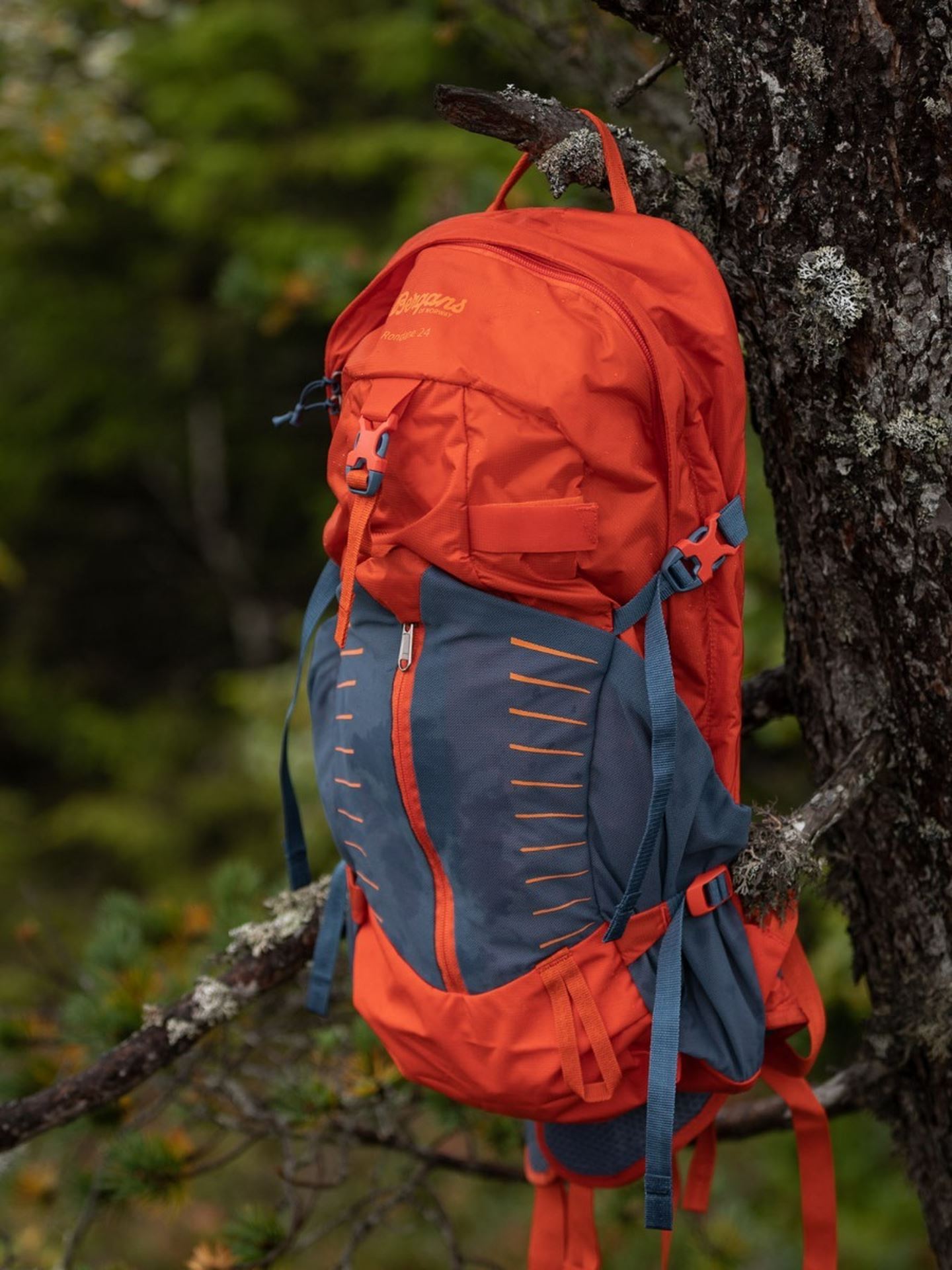 Rondane 24L