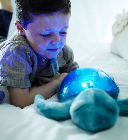 Cloud-B Nachtlampe - 30 cm - Tranquil Turtle m. Ton